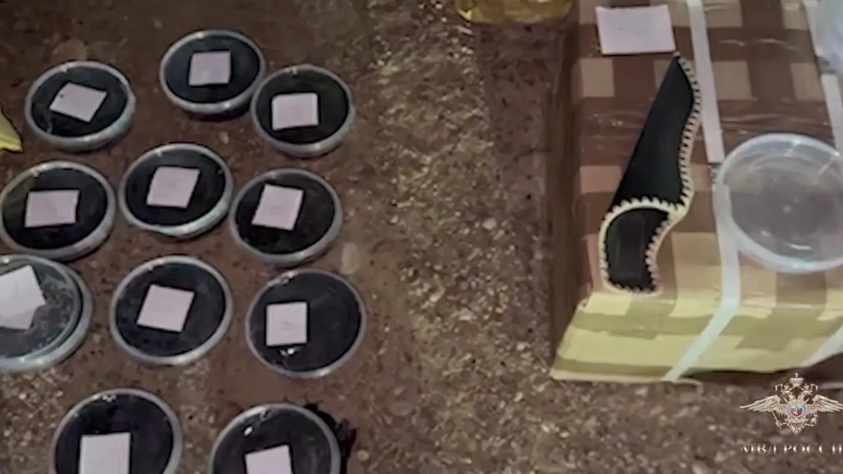 Скриншот с видеозаписи пресс-службы Ирины Волк