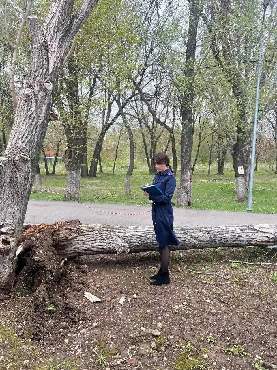 Телеграм-канал Baza