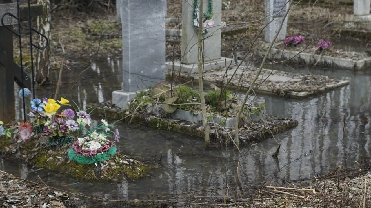 Самосыровское кладбище. «Челны Live» \ Екатерина Волкова