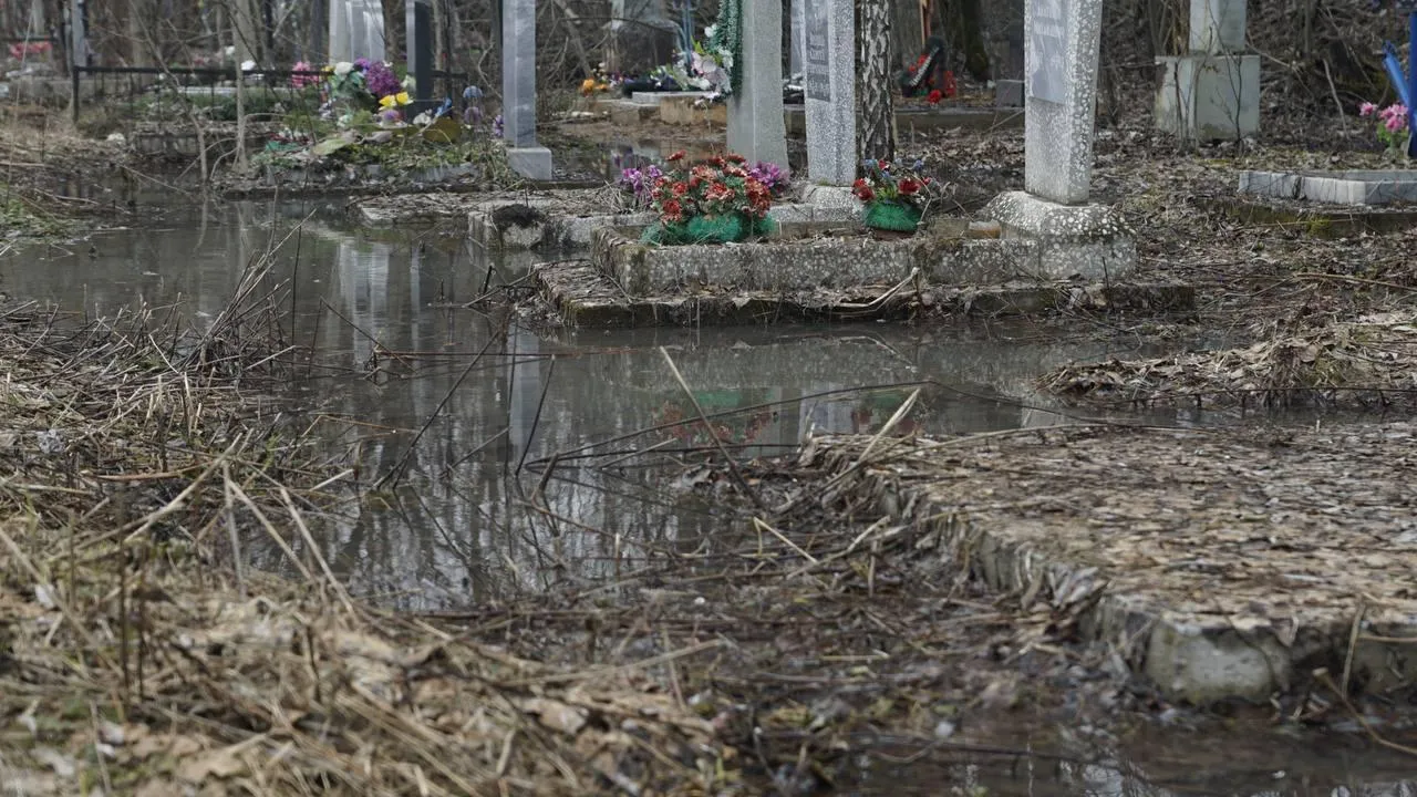 Самосыровское кладбище. «Челны Live» \ Екатерина Волкова