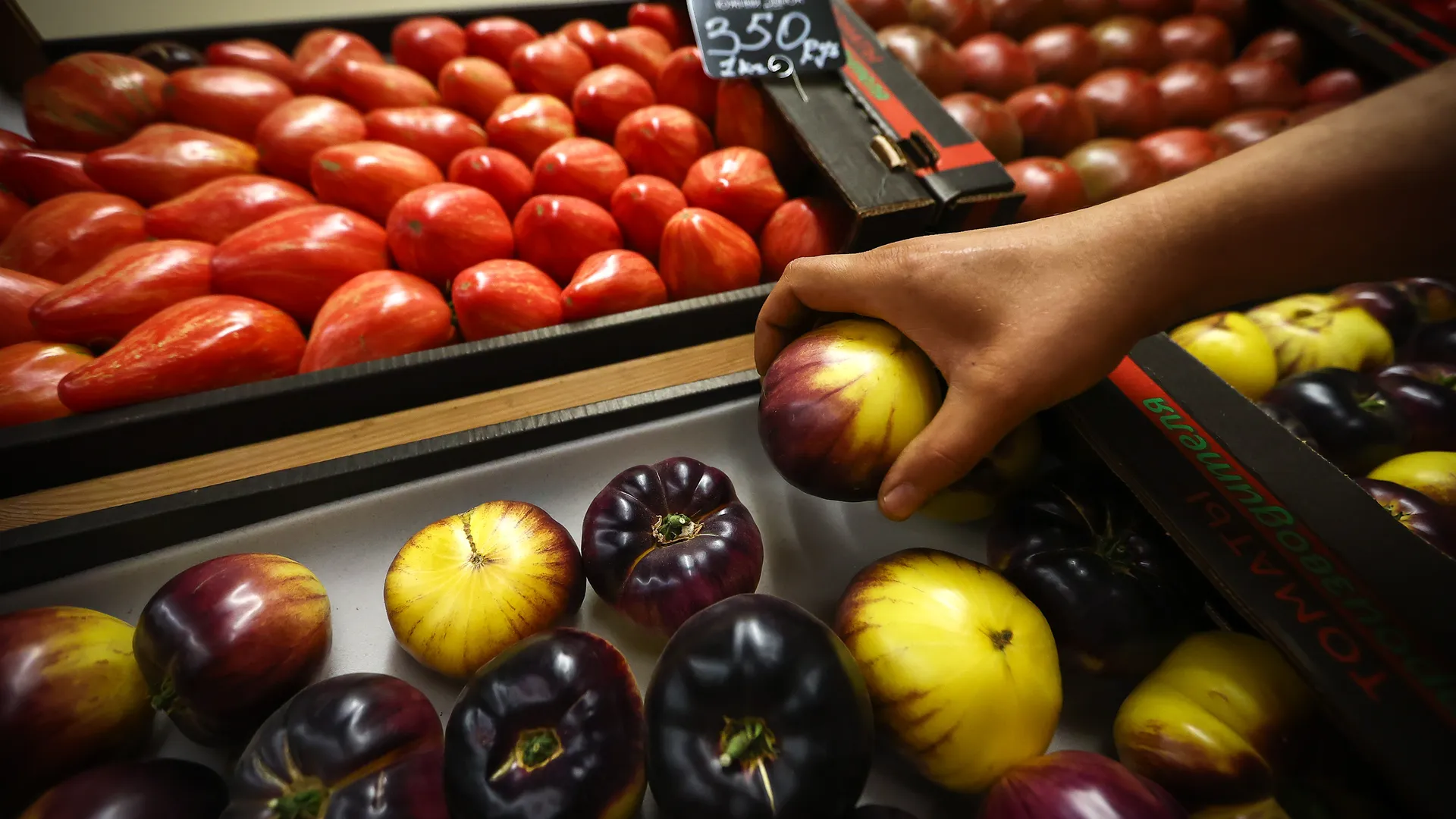 Проверка работы Южного рынка в микрорайоне Кузнечики города Подольск Губернатором Подмосковья