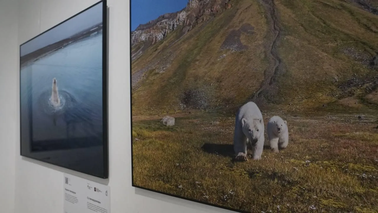 «Челны Live» / Екатерина Волкова