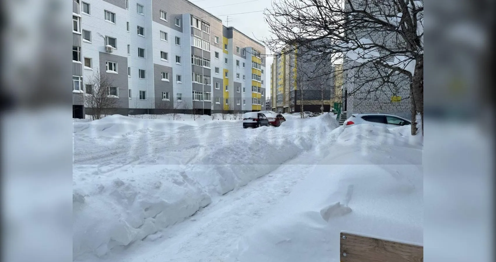 предоставлено собеседником
