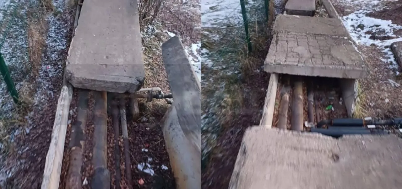 предоставлено собеседником