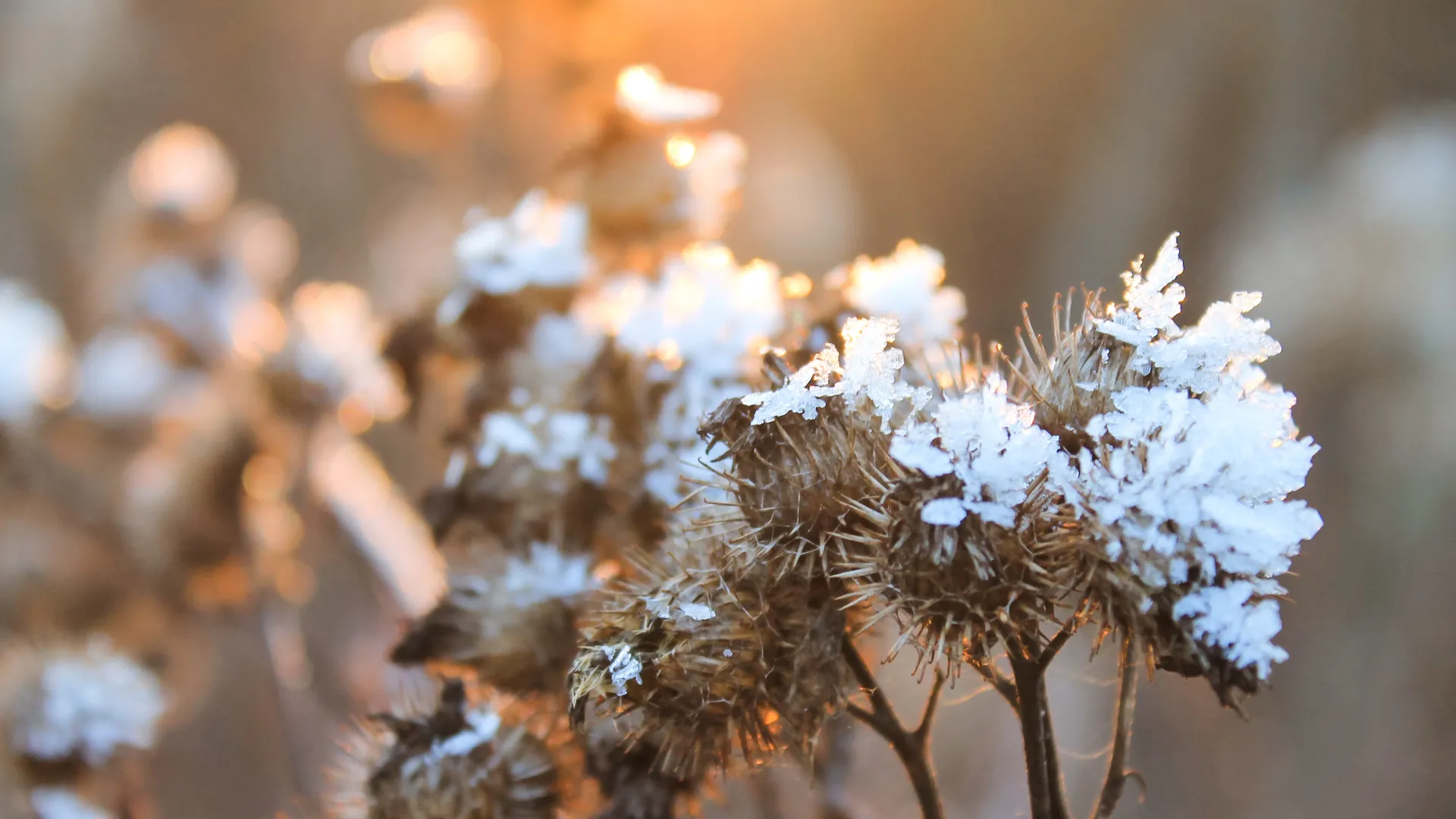 Медиасток.рф