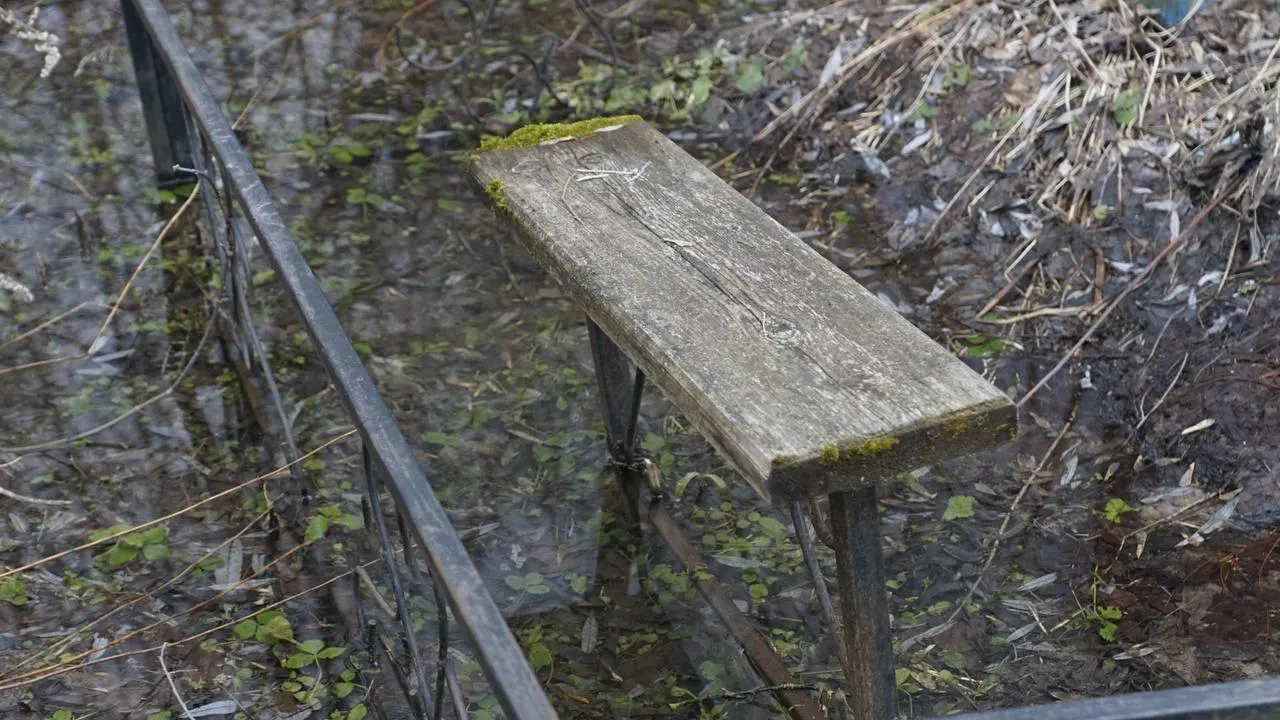 Самосыровское кладбище. «Челны Live» \ Екатерина Волкова