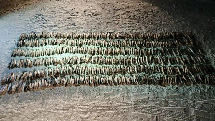 пресс-службы Восточно-Сибирского ЛУ МВД на транспорте