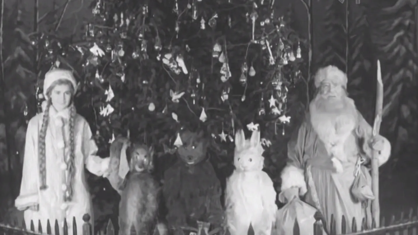 кадр видео Российского государственного архива кинофотофонодокументов