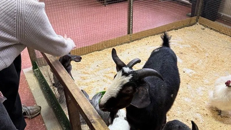 приморское межрегиональное управление россельхознадзора Хабаровского края