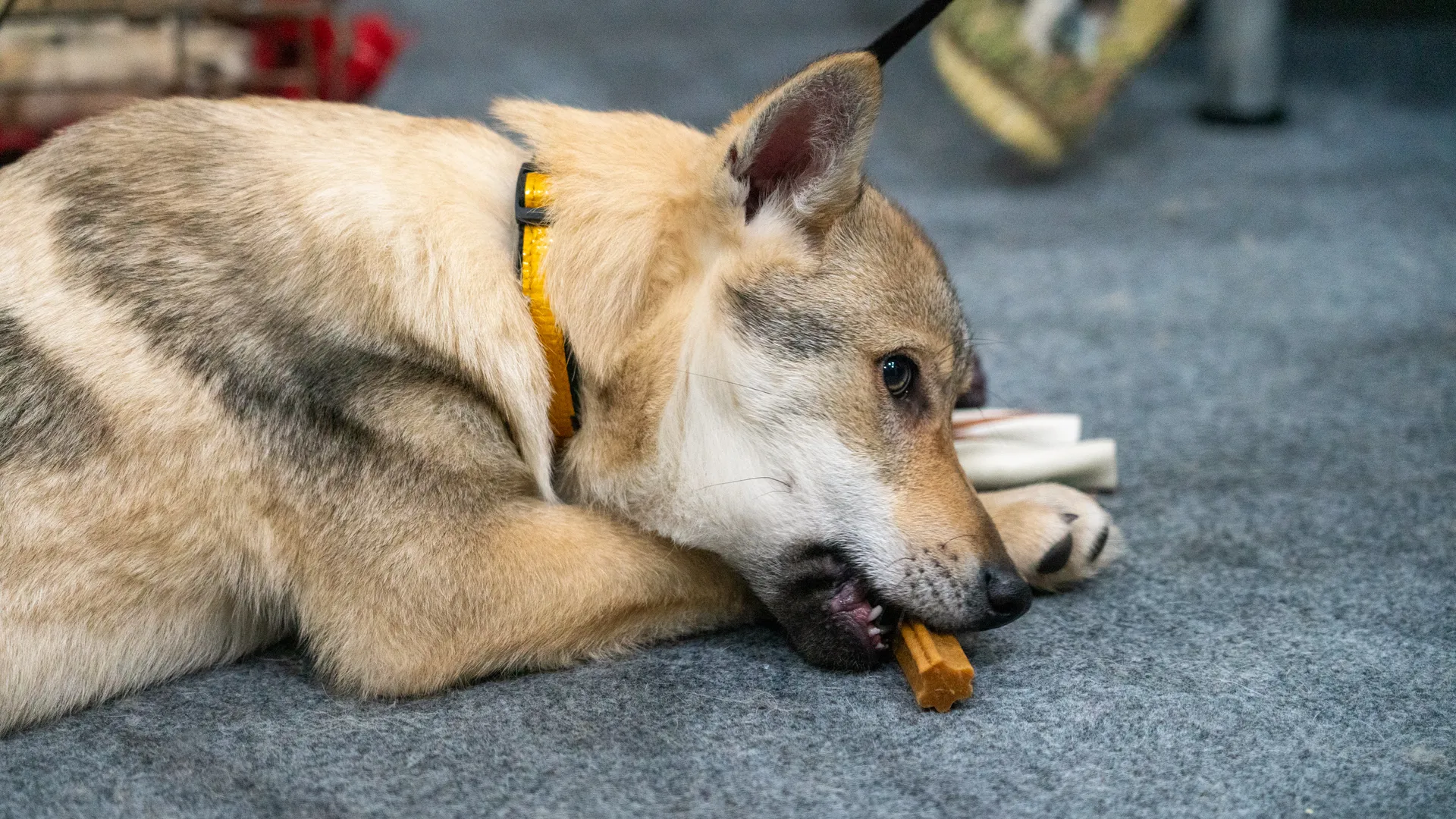 Медиасток.рф