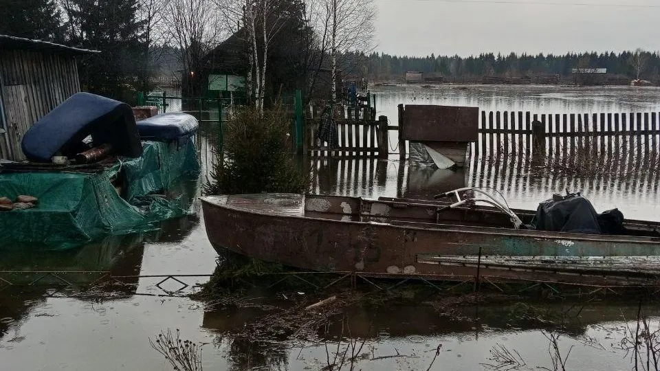 Telegram-канал Андрей Шарнин / Наталья.