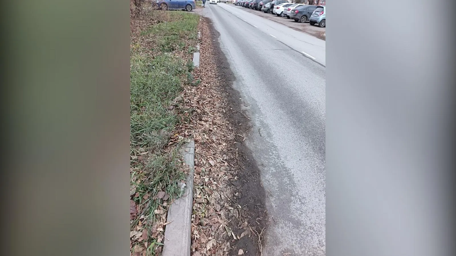 предоставлено собеседницей