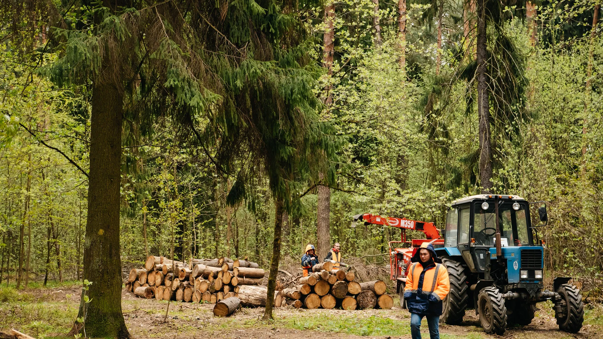 Всероссийский субботник 2025