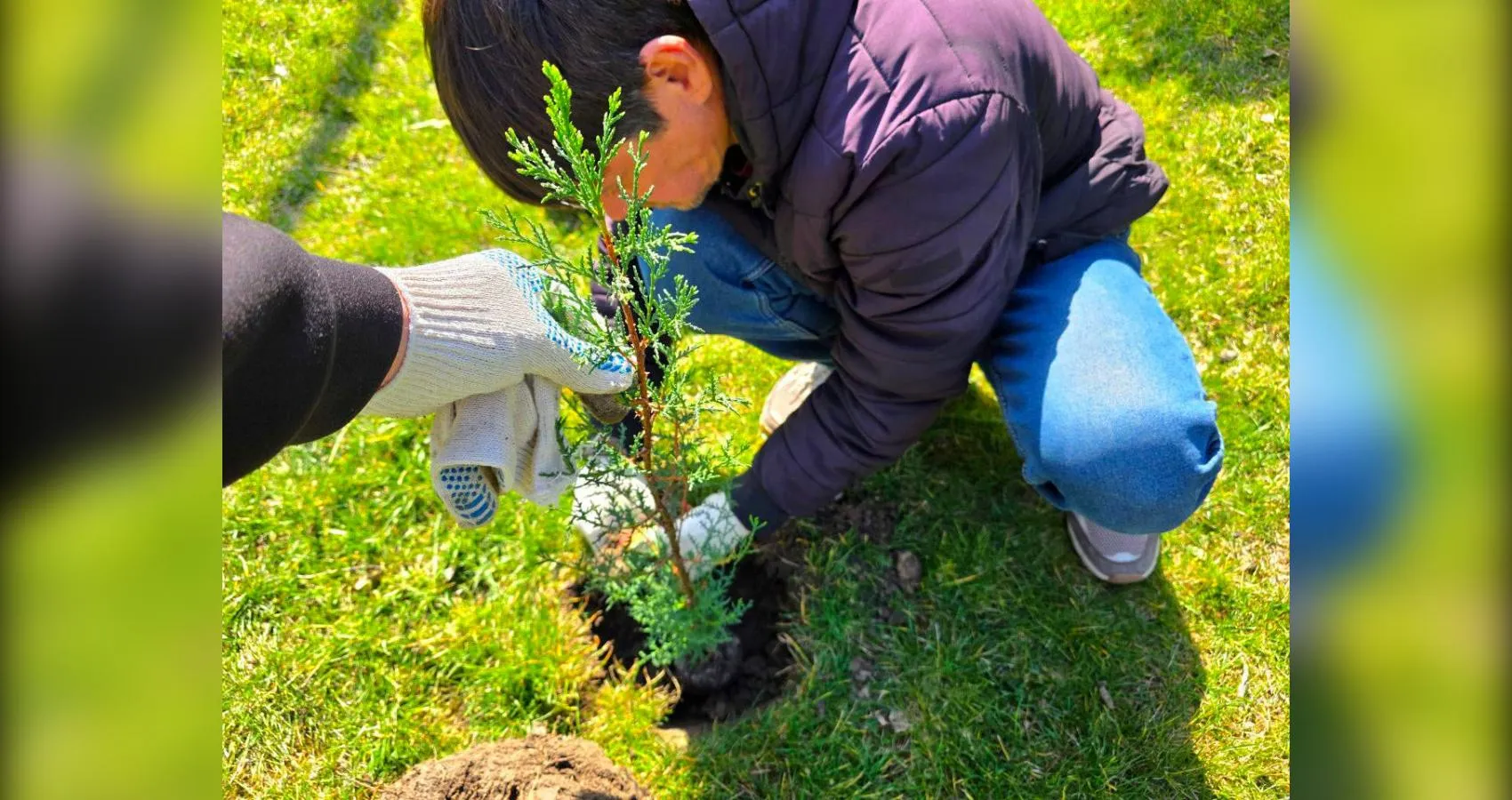 предоставлено собеседником
