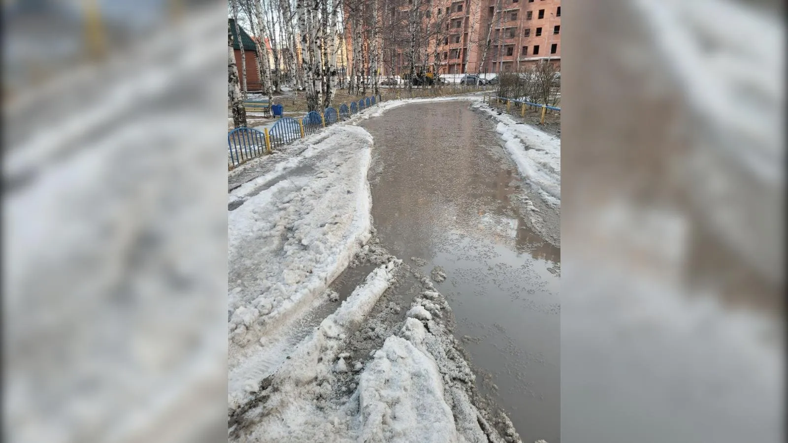 предоставлено собеседницей