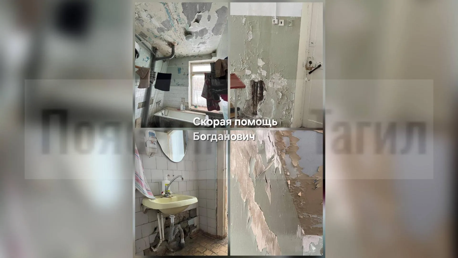 предоставлено собеседником