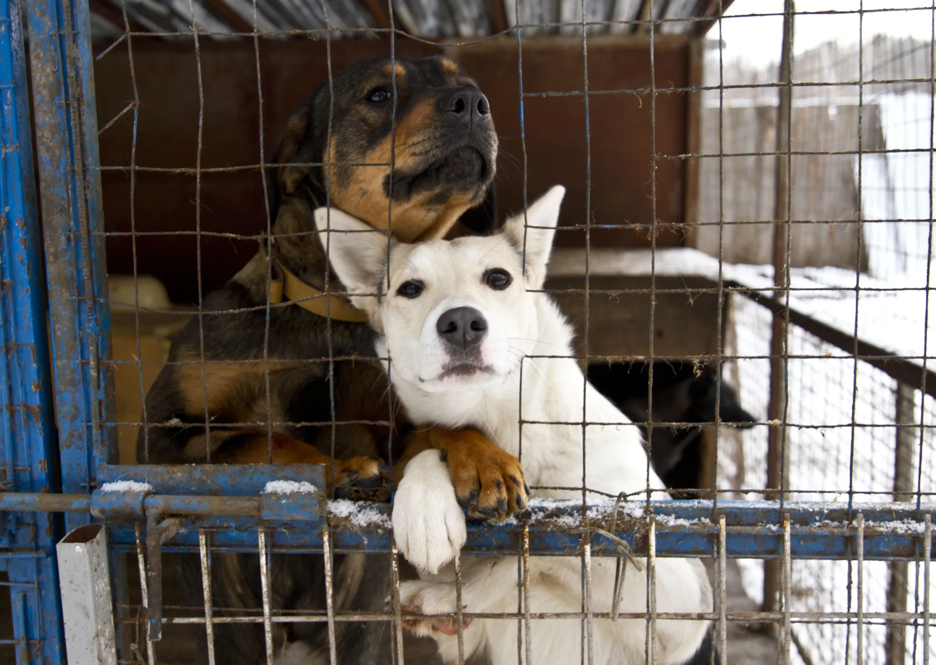 Медиасток.рф