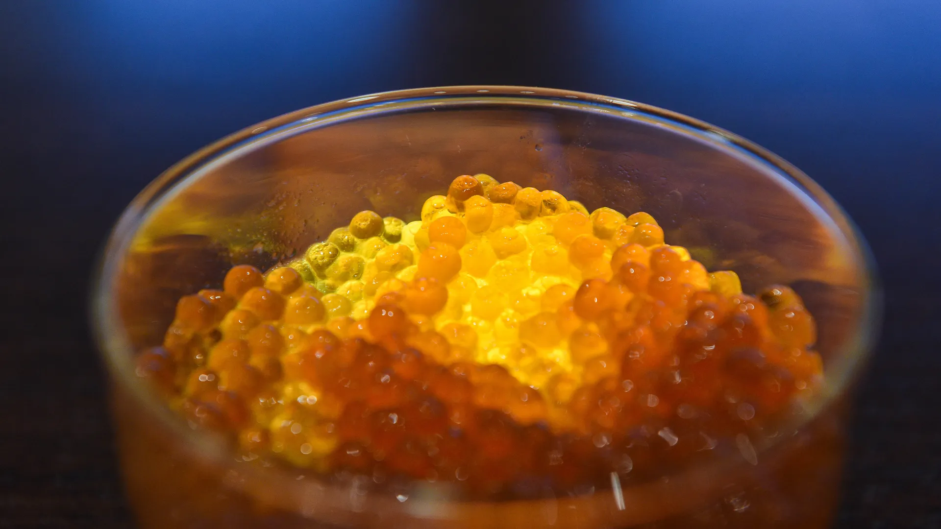 Эксперимент РИАМО: как выбрать красную икру на Новый год