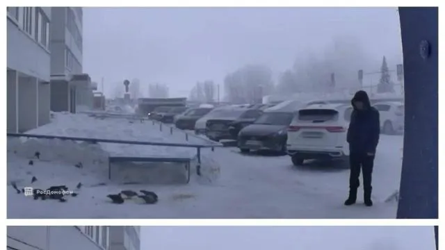 пресс-служба управления по вопросам общественной безопасности