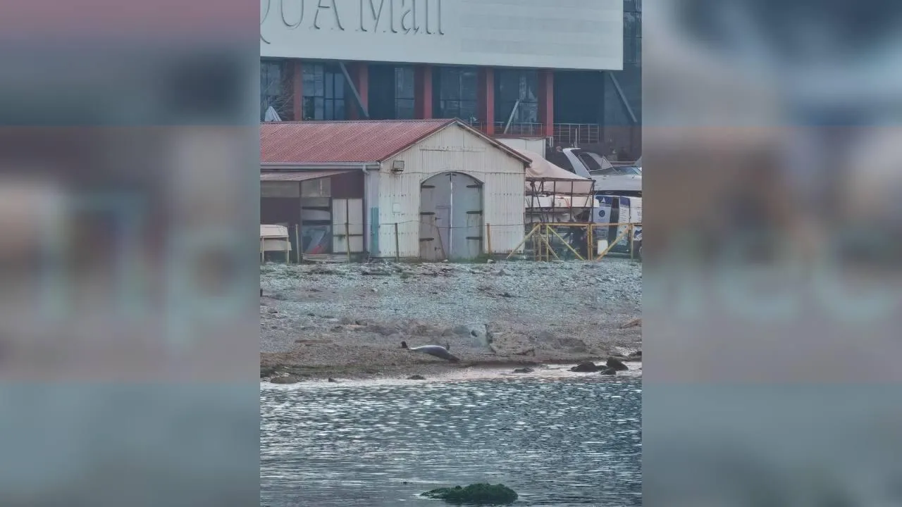 предоставлено собеседницей