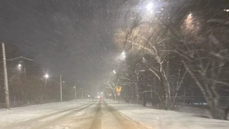 предоставлено собеседником