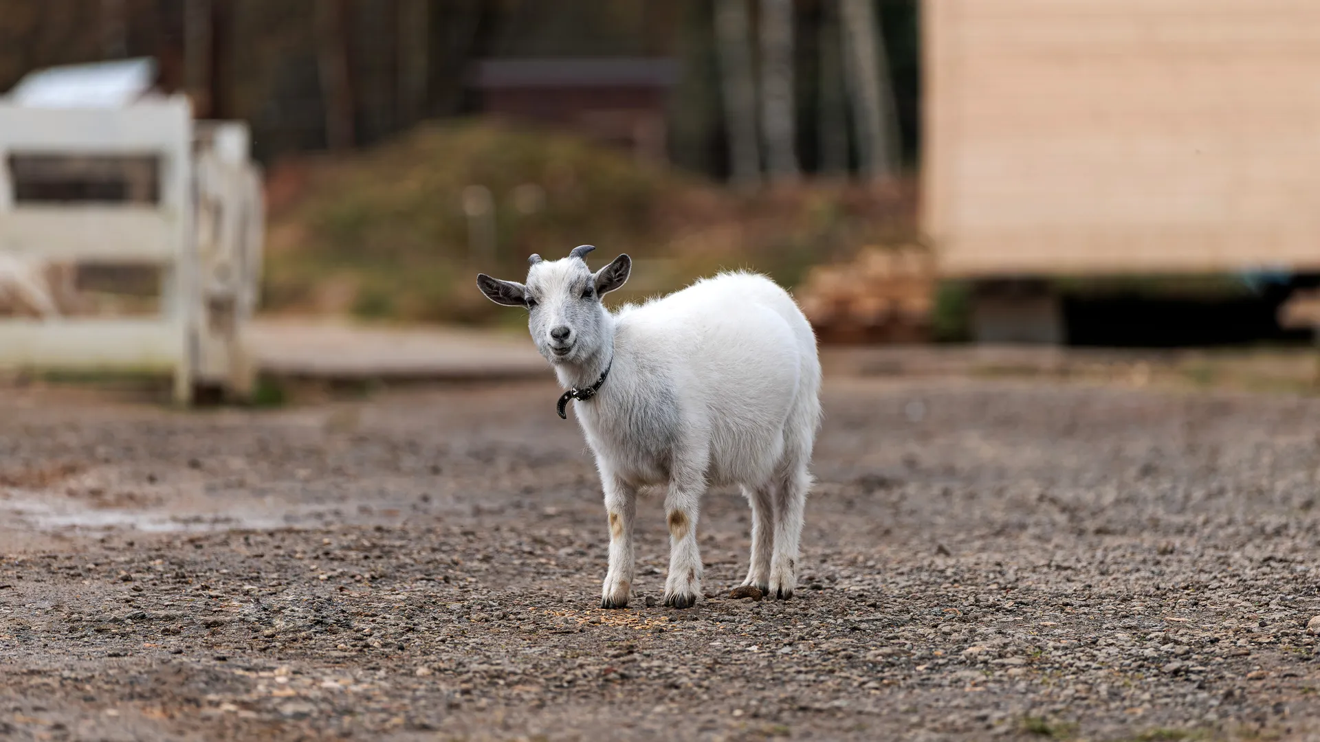 Медиасток.рф