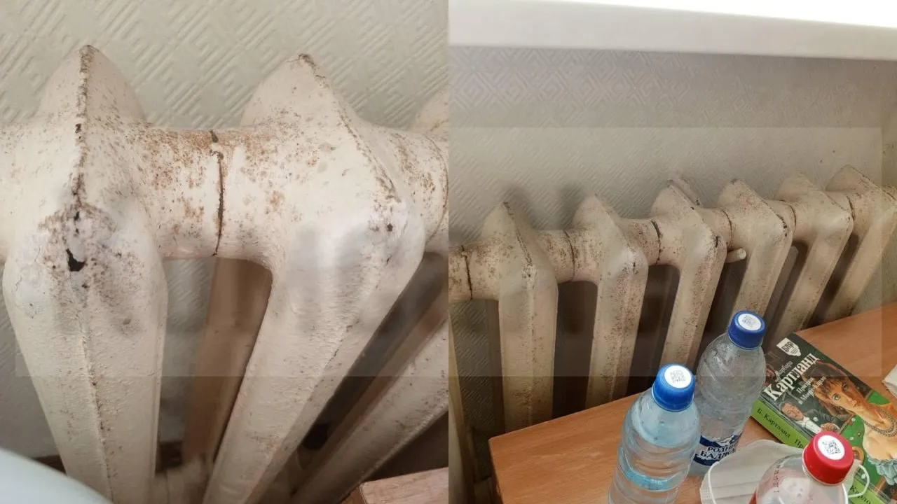 предоставлено собеседницей