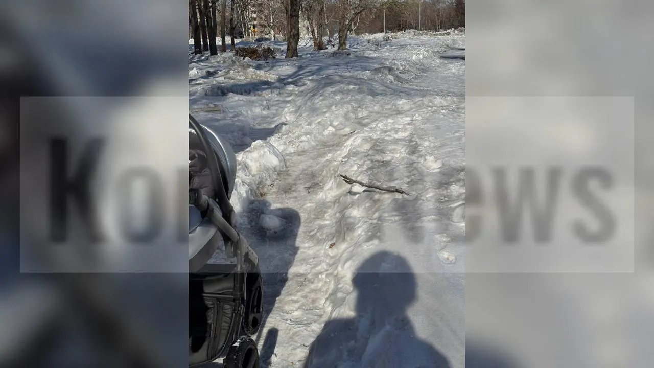 предоставлено собеседником