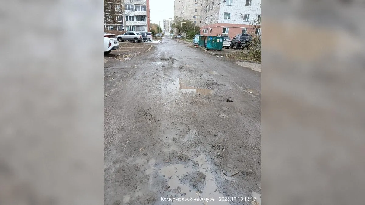 предоставлено собеседником