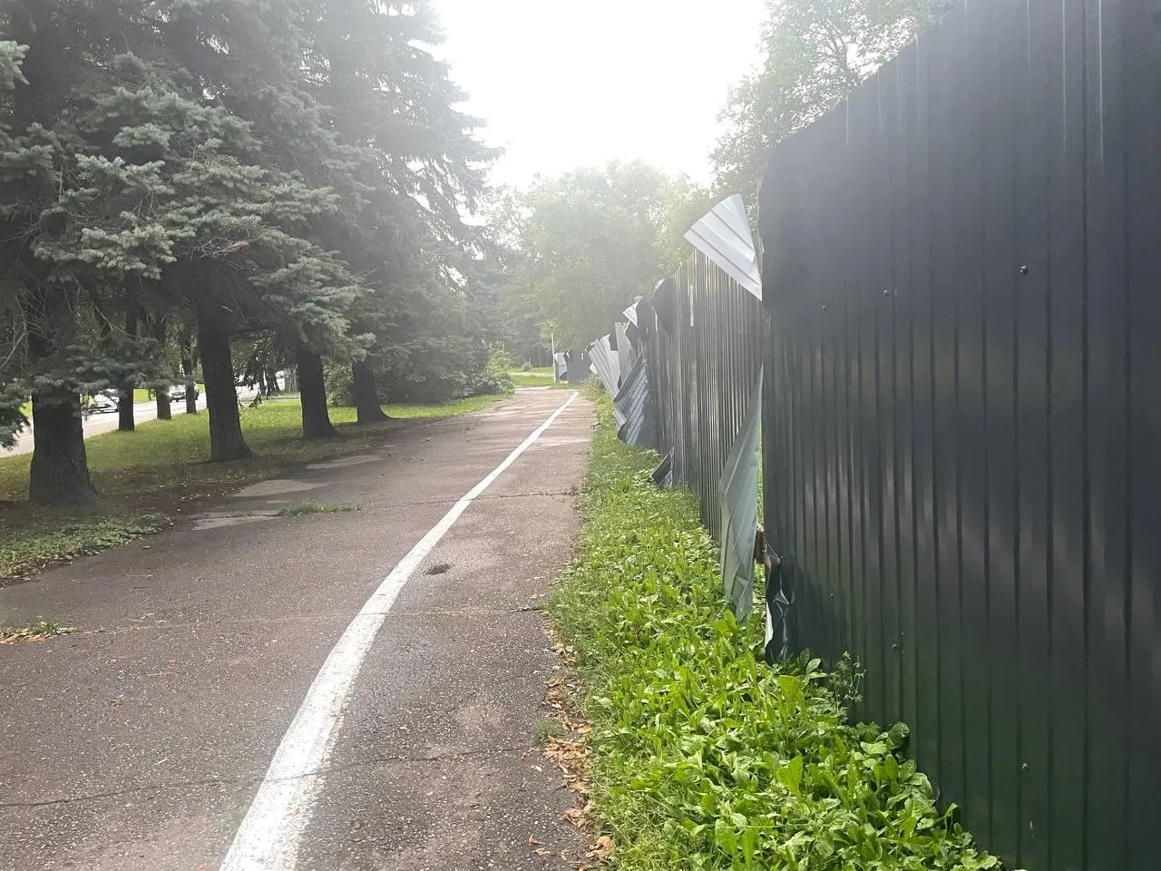 «СтальМедиа»