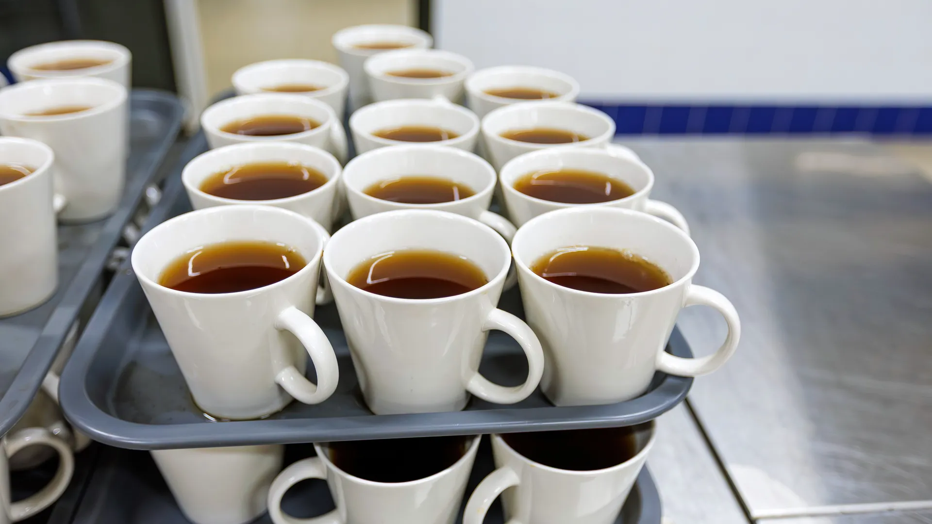 Столовая нового корпуса школы № 15 в ЖК «Героев» в Балашихе