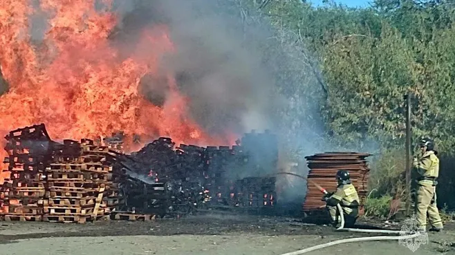 МЧС Челябинской области