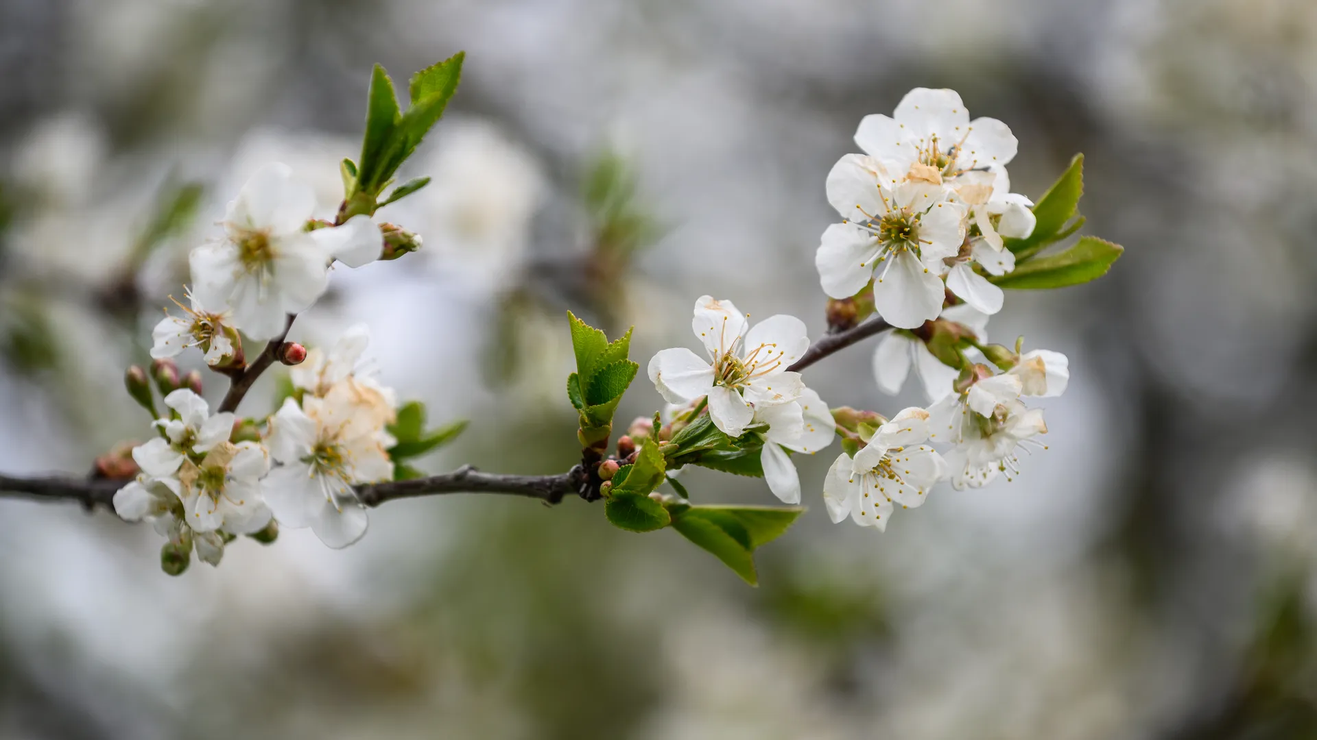Медиасток.рф
