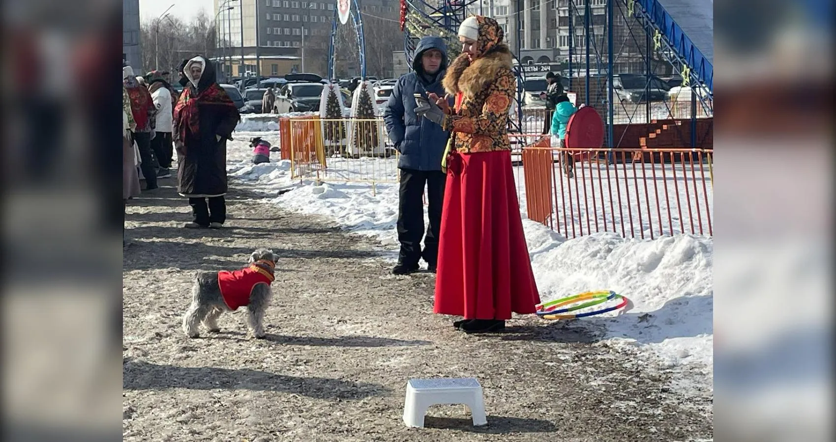 «СтальМедиа»