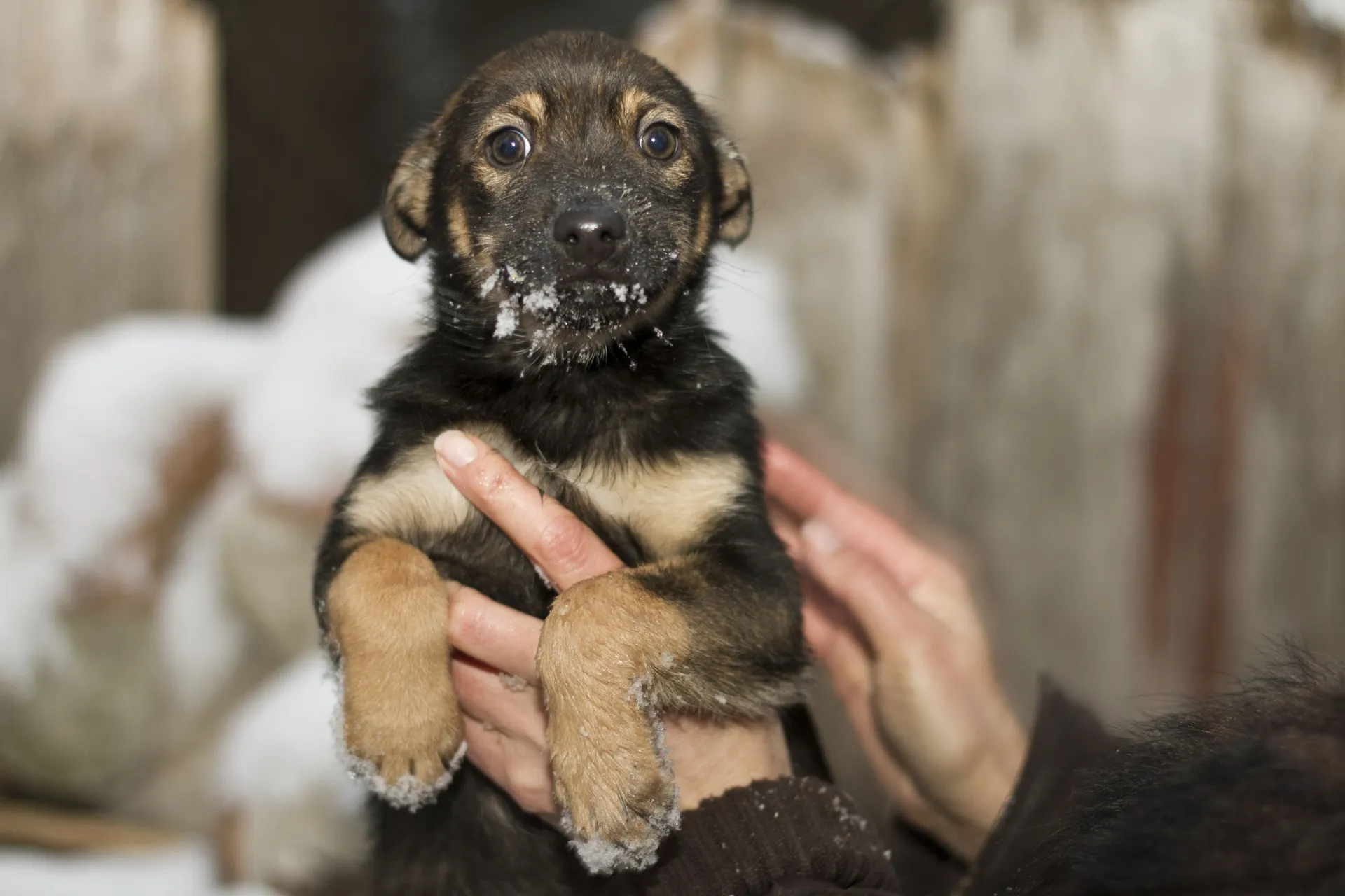 Медиасток.рф