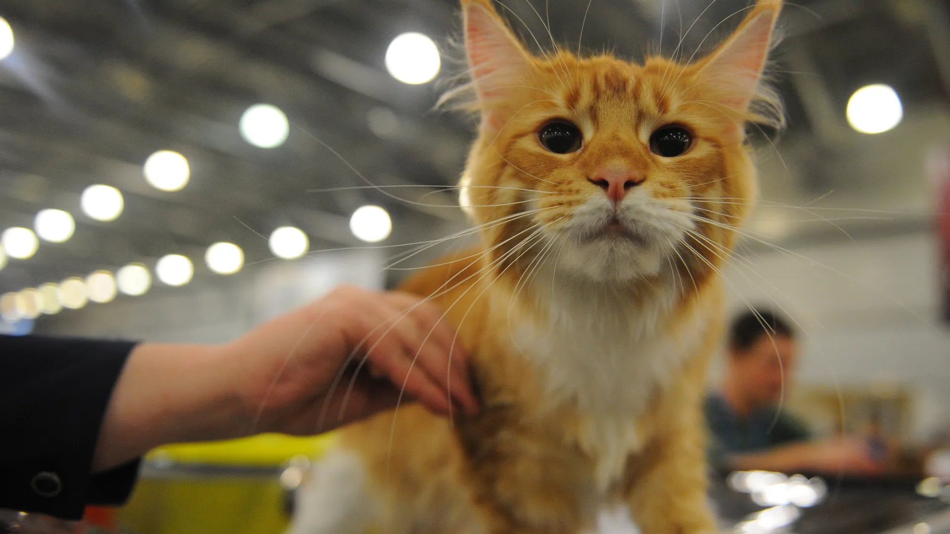 Медиасток.рф