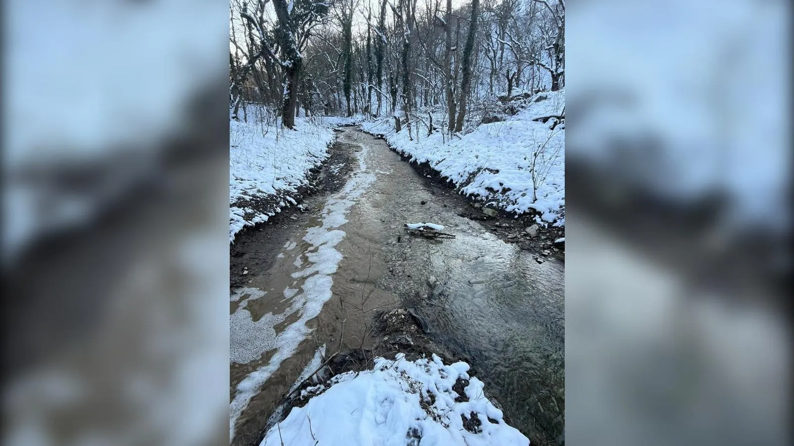 предоставлено собеседником