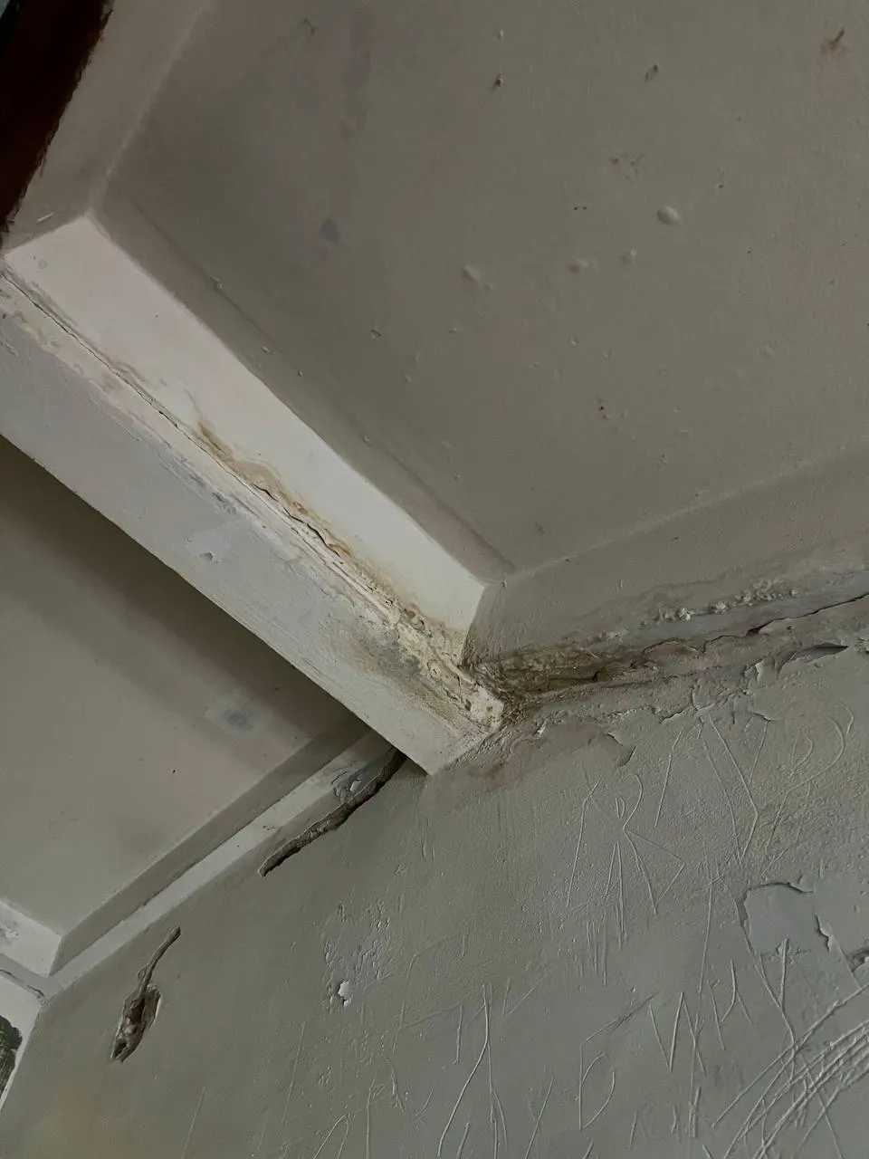 предоставлено собеседницей