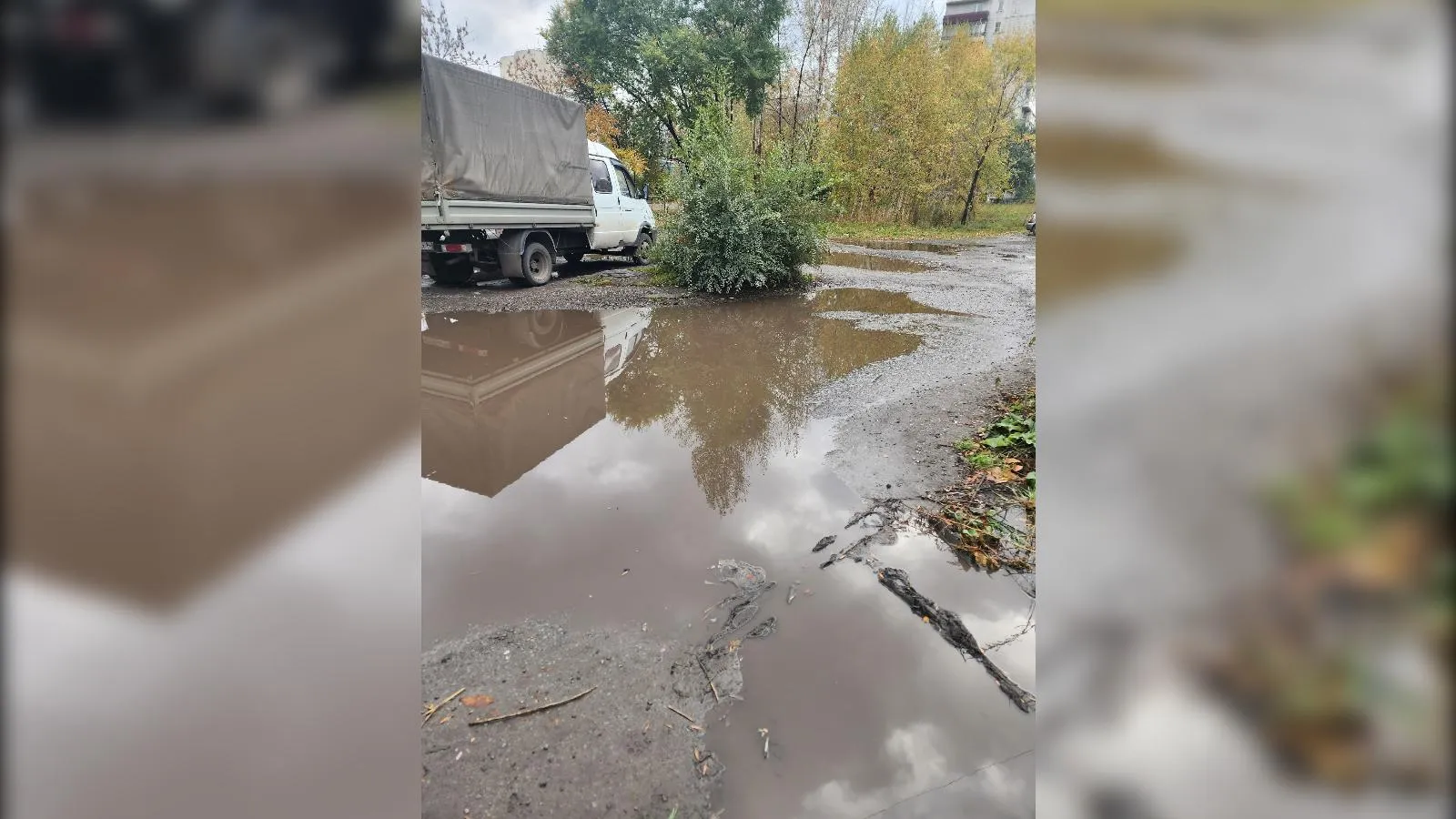 предоставлено собеседником