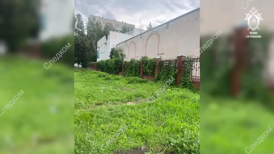 скриншот видео, СК России