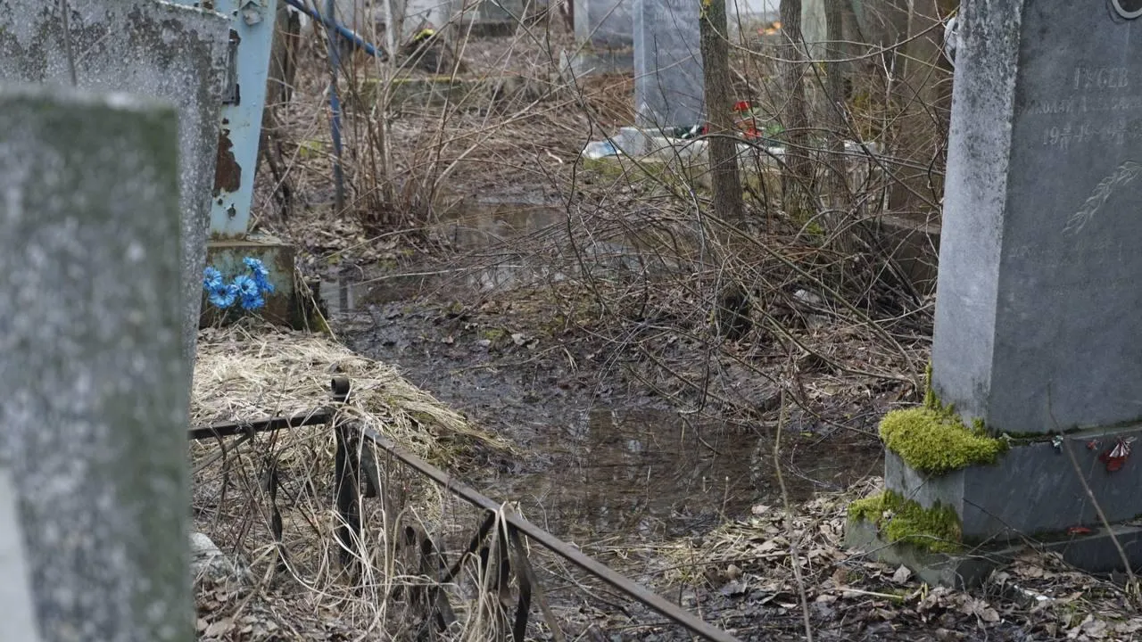 Самосыровское кладбище. «Челны Live» \ Екатерина Волкова