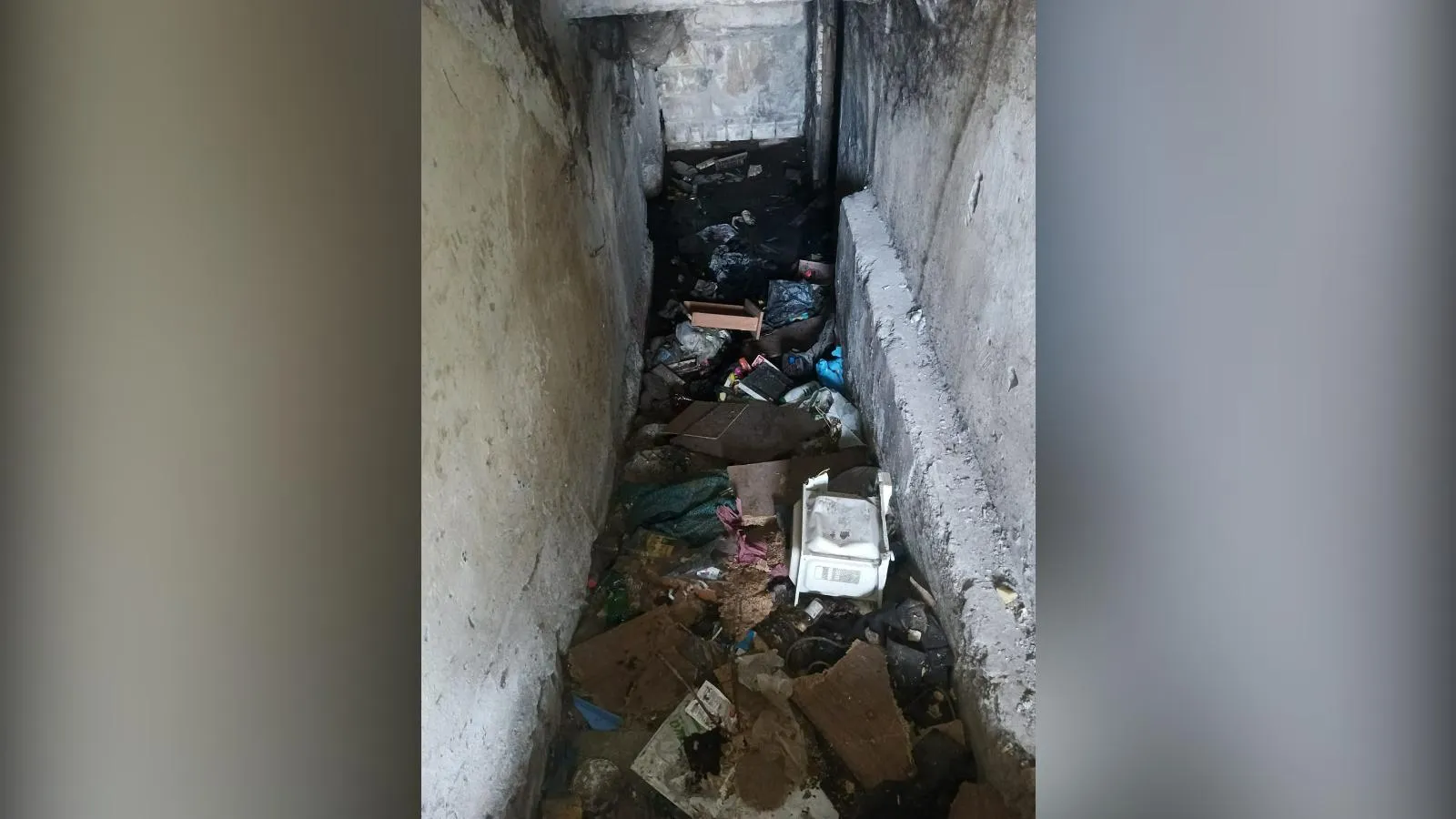 предоставлено собеседницей