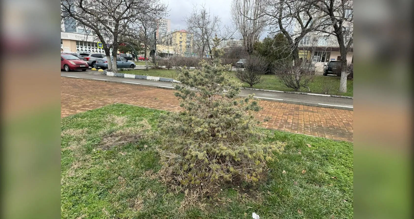 предоставлено собеседником