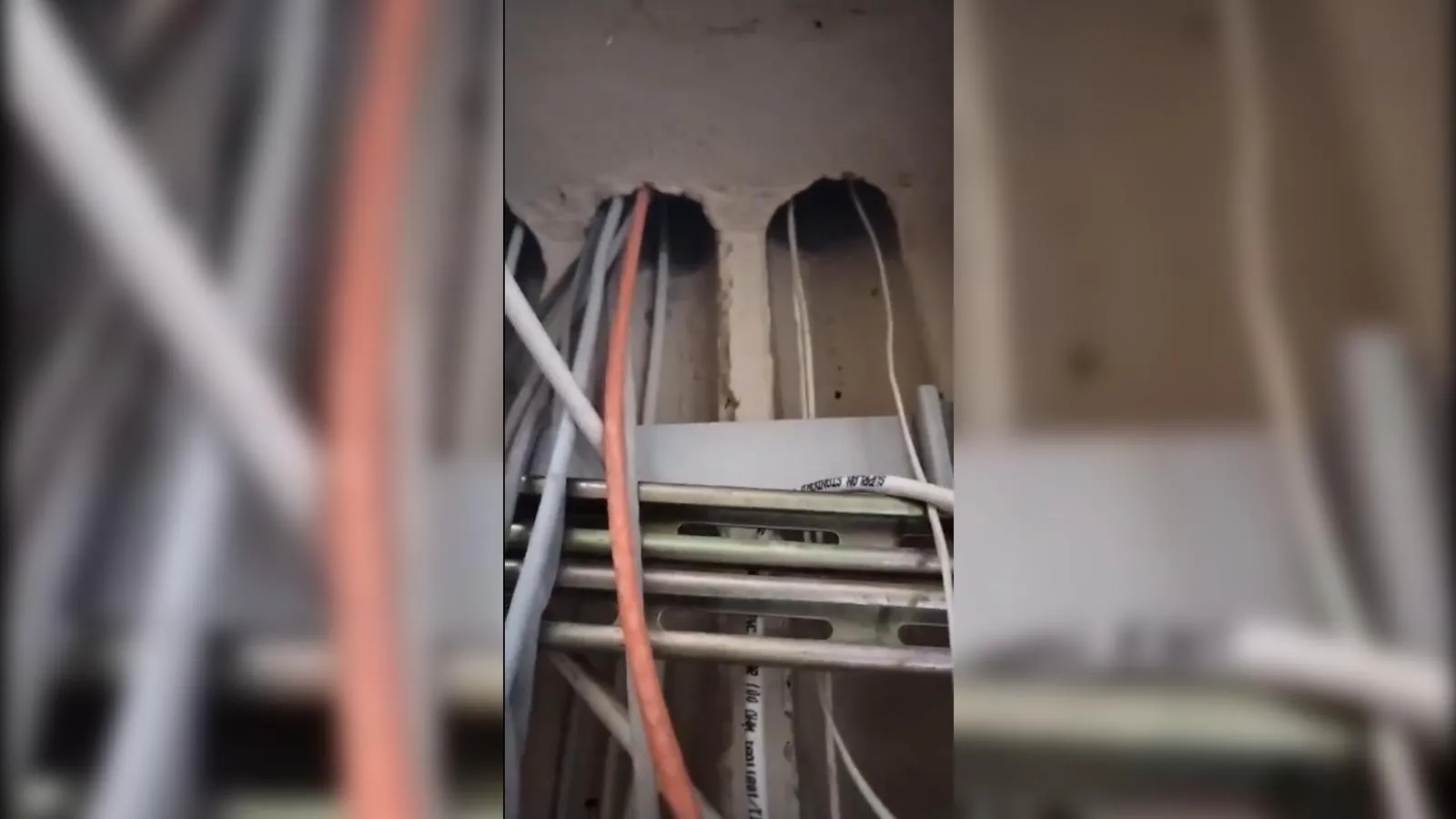 предоставлено собеседником