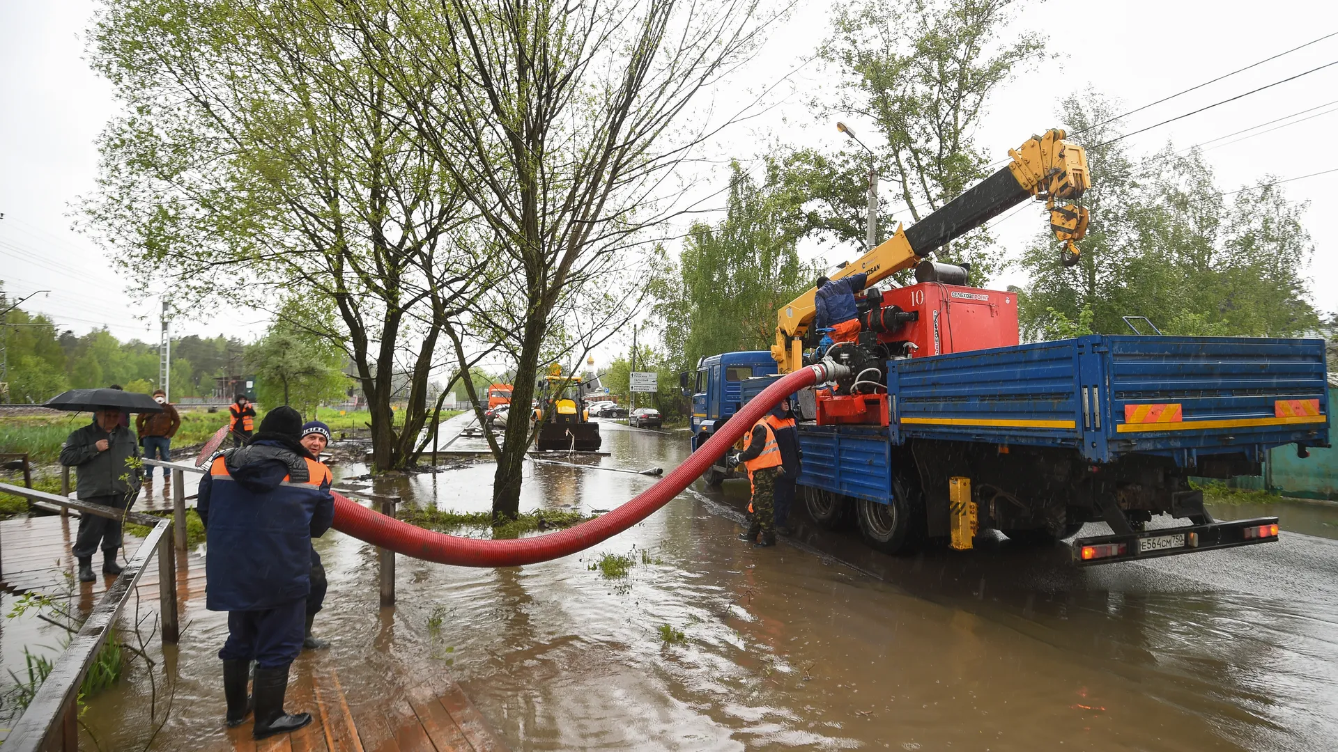 Картинка