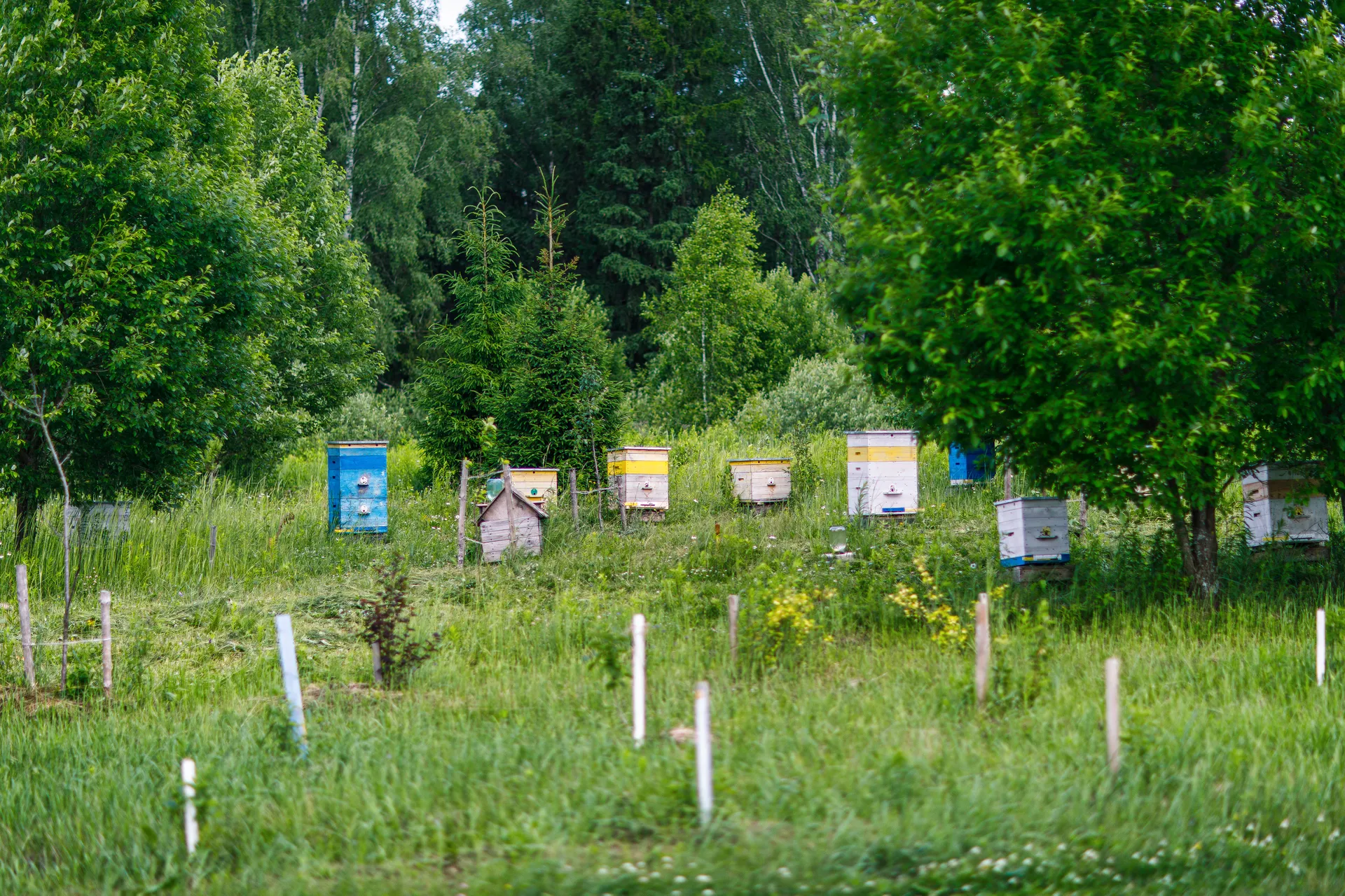 Медиасток.рф