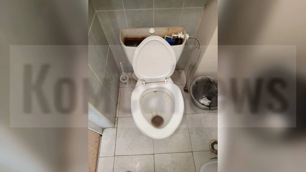 предоставлено собеседницей