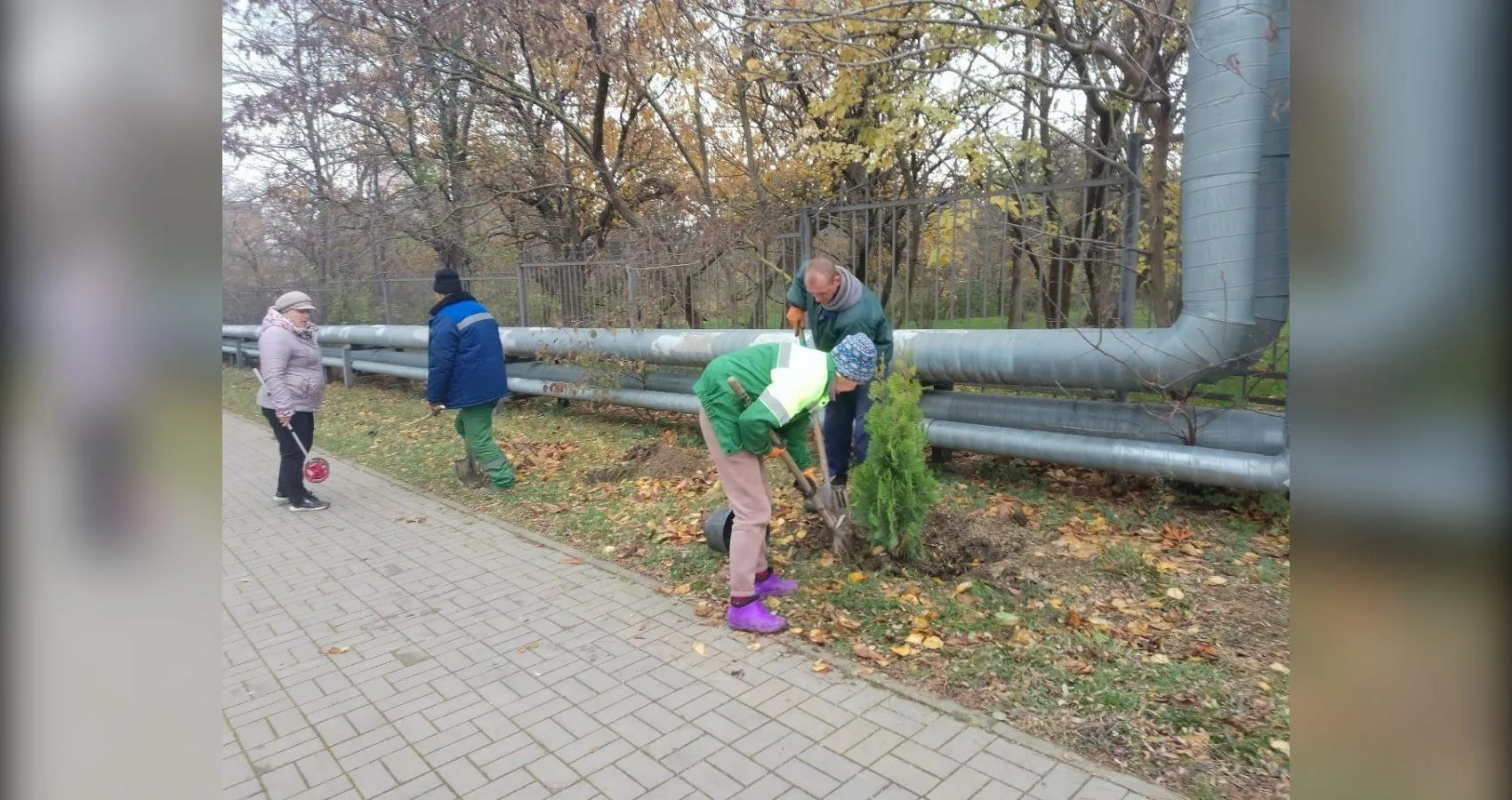 предоставлено собеседником