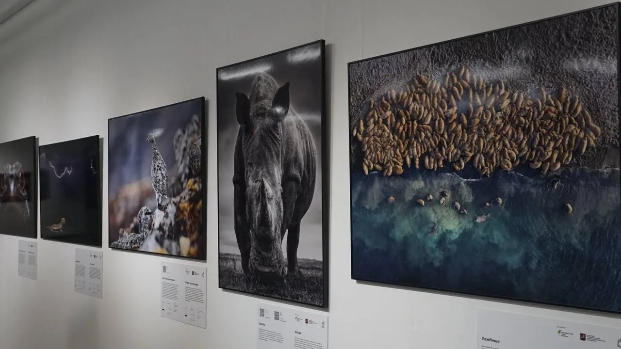 «Челны Live» / Екатерина Волкова