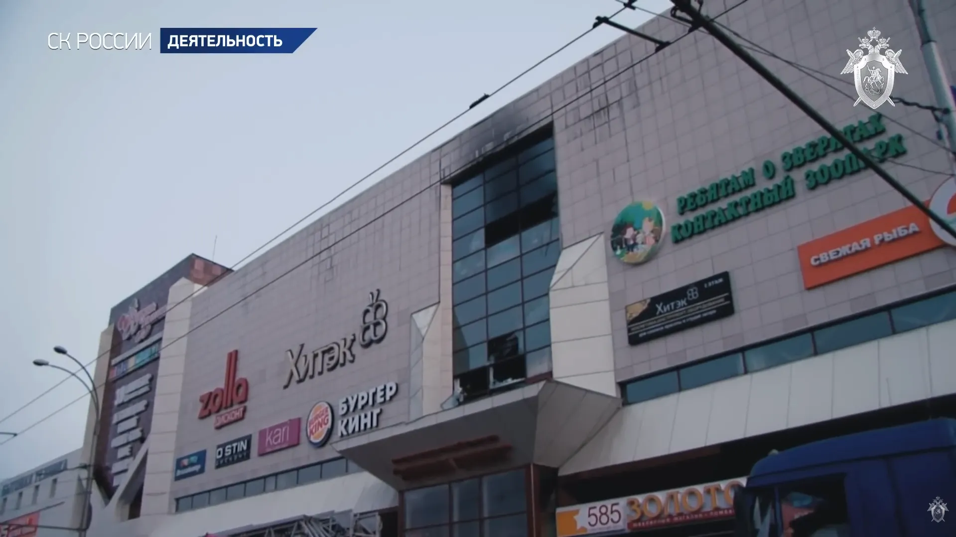 кадр видео пресс-службы Следкома РФ